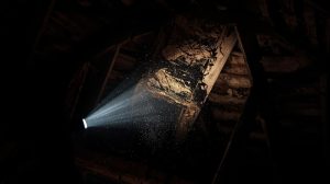 Kerusakan rangka atap plafon akibat serangan rayap kayu kering dan rayap tanah.